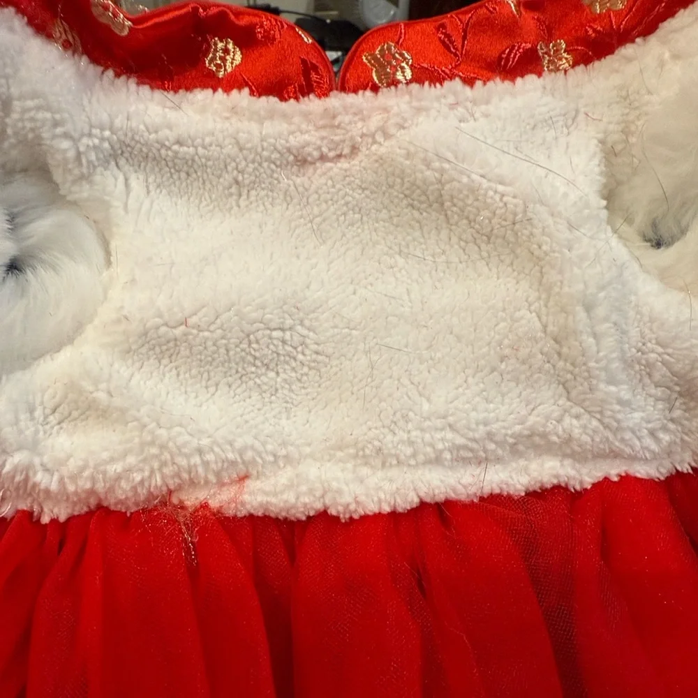 SHEIN Red Pet Cat Outfit with Gold Accents used one time just for pictures